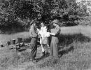 gc   picauville france 1944   ng208